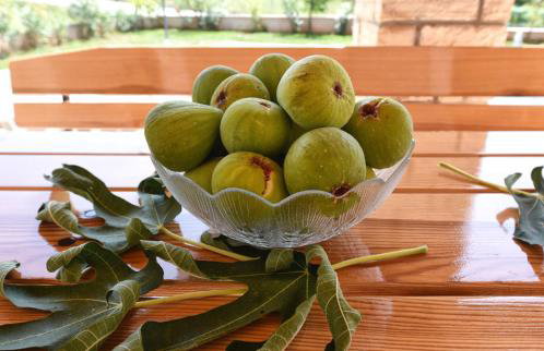 Villa Kmacici 377 - Photo 12