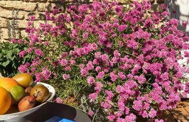 Chez Suzanne - Foto 10