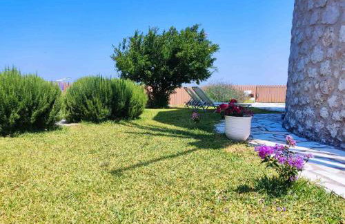 Anemomilos Villa - Photo 30