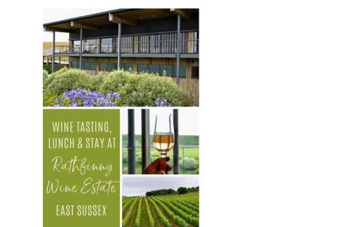 Studio Cabin Retreat with Hot Tub Sea and Downs views in Seaford with own garden - Foto 40