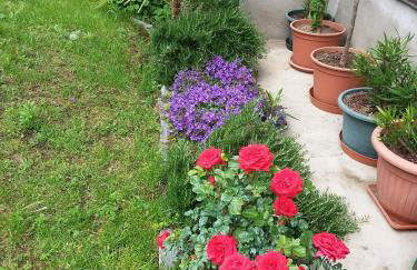 B & B SENTIERO VALTELLINA - Foto 19