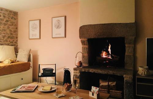 Maison La Cassine Saint-Ceneri-le-Gerei - Foto 10