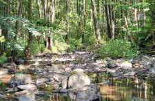 Betzemühle 2 Bauernhof - Foto 21