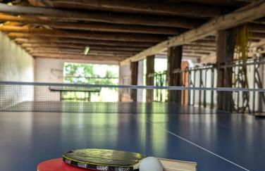 Traumkrone Ferienwohnungen - Himmelblau - Foto 36