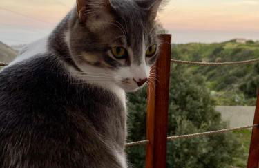 Agrotur Fenix - Foto 28