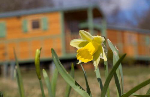 The Hideaway Huts - Foto 13