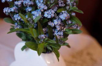 Oberhabererhof - Photo 26