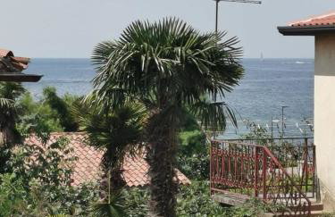 App Palčić K - Photo 3