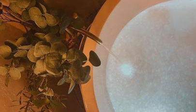 Halona Casa Rural - Foto 3