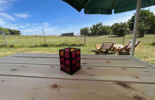 Bauernhof Glamping mit Alpakas und Ziegen - Foto 7