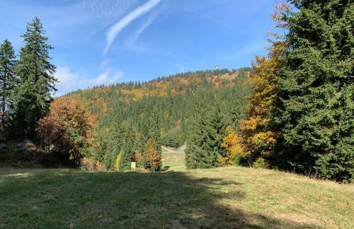 Ferienwohnung Feldberg Schwarzwald - Foto 40