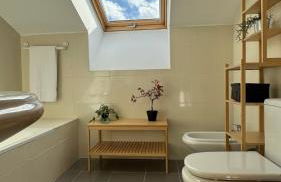 Apartamentos Suites Olmedo - Foto 42