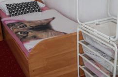 Holiday home "Goga" ruralna kuća - Foto 12