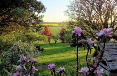 Ferienwohnung Emil's Kuhwiese - Photo 10