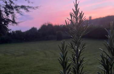 Die Landhaus Suite im Landhaus im Park - Foto 18