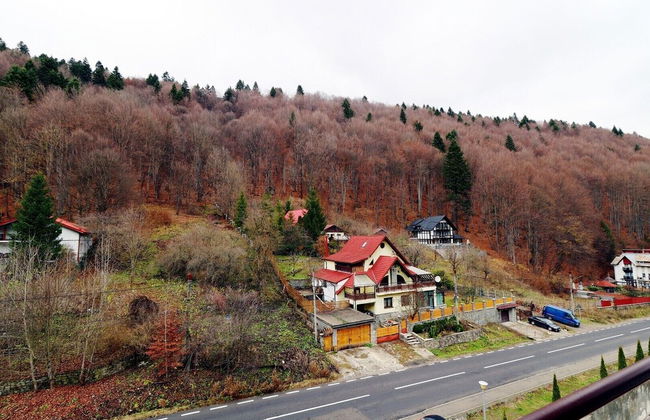 Vlad Studio - Foto 23