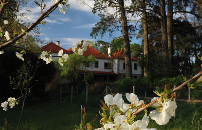 Lugar da Pedra Alta - Foto 45