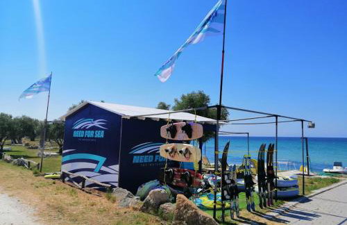 Herodicus villa - Foto 35