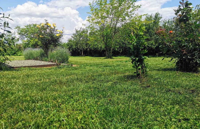 Cozy 1 Bed Cottage in Ognen, Near Karnobat, Burgas - Photo 30