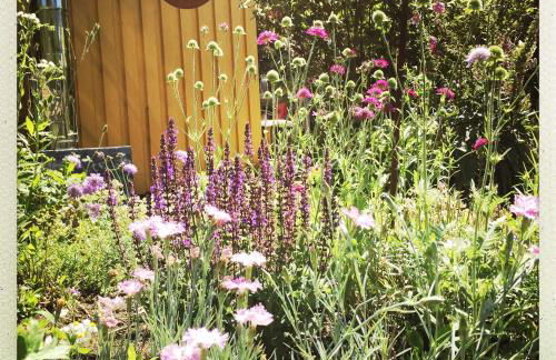 Gelbes Haus bei Mardorf am Steinhuder Meer - Foto 21