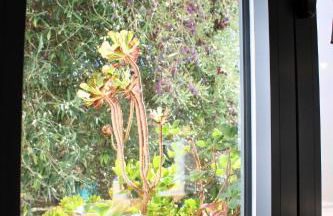 Casa La Abubilla by SIERRA VIVA - Foto 22