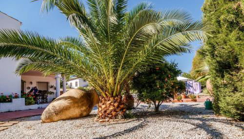 La Veguilla Úbeda - Foto 1, Garden view