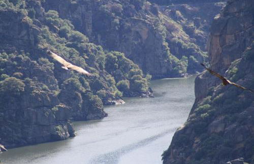 Casa de l Bárrio - Foto 15