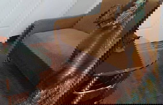 Ramyer Transient House Panglao - Foto 14