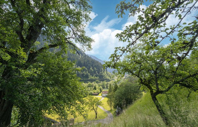Chalet in St. Gallenkirch Near Ski Lift - Foto 36