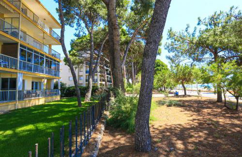 LITORAL COSTA DORADA - MIRAMAR Only families - Photo 32