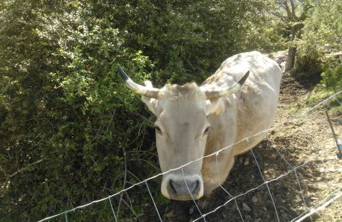 Apartamentos Casa Aneta - Photo 27