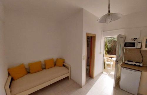 Nik Litinas Apartments with pool - Photo 18