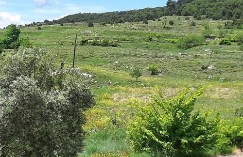 Casa Rural Garnacha de Borja has a Barbacue and Terrace - Foto 123