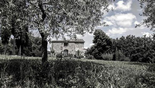 Podere Pievina Delle Corti - Dimora di Campagna - Foto 2, Garden