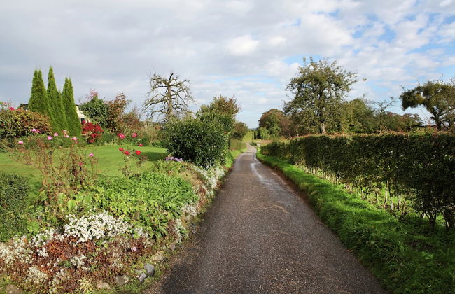 Holiday Home in Epen With Garden & BBQ - Photo 38