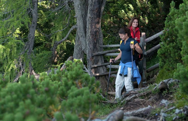 Apartment in Eberndorf Near Petzen Ski Area - Foto 21