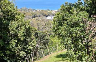 Holiday Home Villa Belle Vue- direkt am Meer- 1-2 Haustiere erlaubt by Interhome - Foto 22