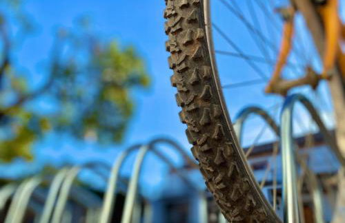 Molino la Nava - Foto 47