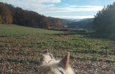 Haus Sommerseit'n Ruhe-Natur-Genuss - Foto 6