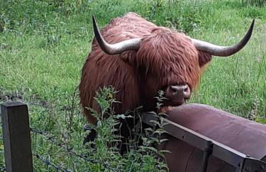 Annfield House, Callander - Foto 31