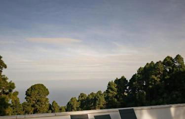 Monte frio de Tenerife - Foto 5