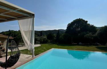 Ktimaoliva1 - Foto 41