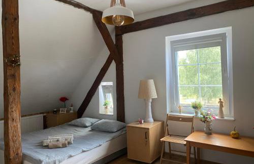 Farma Puchałowo - Foto 79