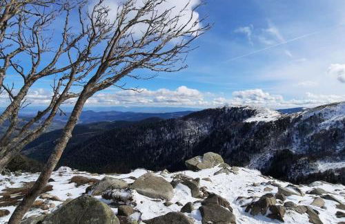 plain-pied proche base de loisirs et voie verte - Foto 33