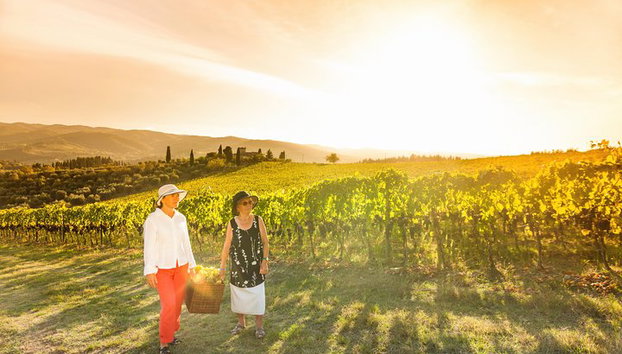 Experiencia del vino en las colinas de Bolonia - Foto 2