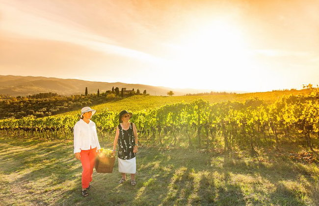 Experiencia del vino en las colinas de Bolonia - Foto 2
