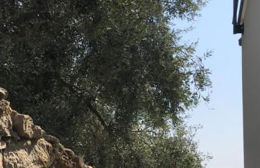 Casa del sasso - Foto 45