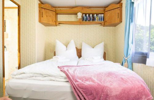 Basislager für Harz und Städtetour Leipzig, Magdeburg, Dessau, Halle, Quedlinburg uvm - Foto 3