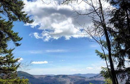 Mountain cabin with views, privacy, and more. - Foto 65