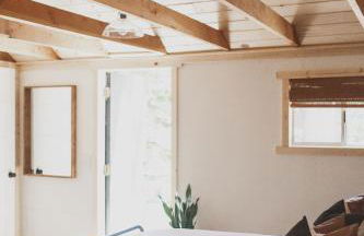 Redwood Grove in Sequoia and Kings Canyon National Park - Foto 4